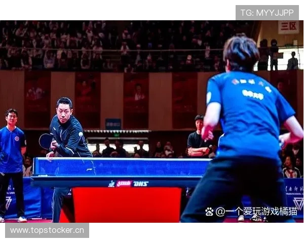 许昕家的猫都比我会接球